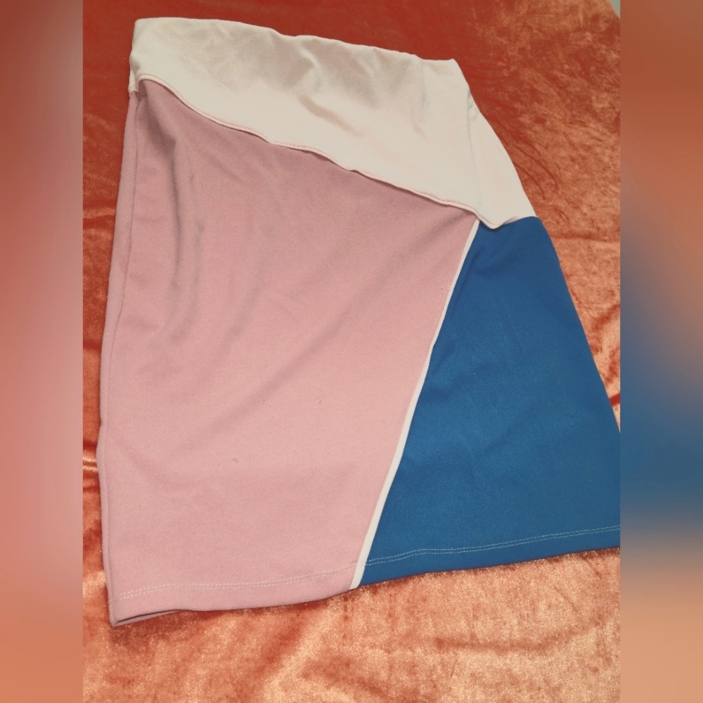 Color blocked Pencil Skirt